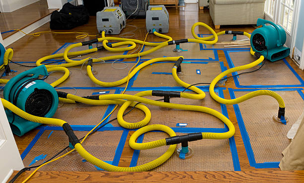 Professional Flood Damage Restoration technician working in Ettrick, VA